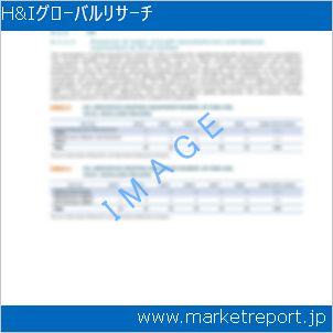 市場と産業調査レポートのイメージ